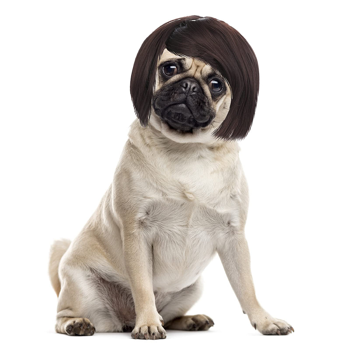 Cobee Peluca Divertida de Cosplay para Perros y Gatos, Peluca Ajustable para Mascotas - Disfraz, Accesorios para la Cabeza Graciosos para Perros y Gatos de Tamaños Pequeño, Mediano y Grande, Ideal para Decoraciones de Halloween, Navidad y Festivales